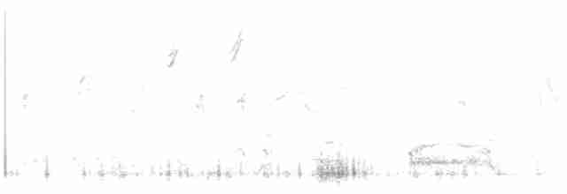Белохвостая куропатка - ML356556051