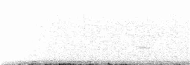 American Kestrel (South American) - ML356587201