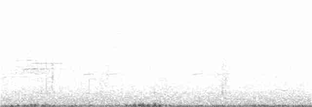 Spotless Crake - ML356706441