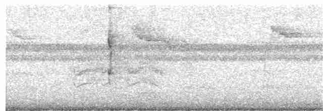 Araucaria Tit-Spinetail - ML356721551