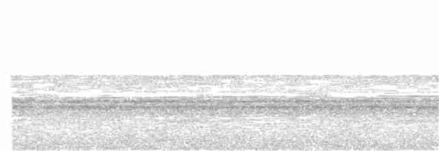 Белоухая тимелия - ML356725471