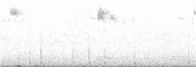 Трёхпалый дятел (funebris) - ML356736821