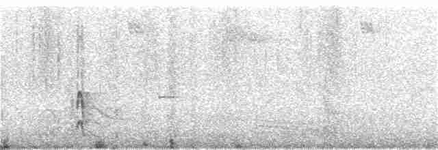 Трёхпалый дятел (funebris) - ML356736881