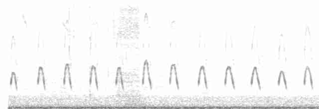 白腰叉尾海燕 - ML356791971