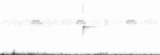 Улит-отшельник - ML356851621