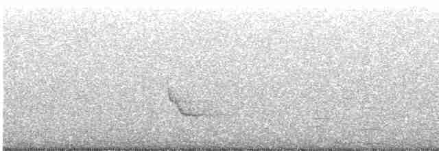 Pearly-eyed Thrasher - ML356871341