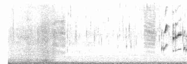 Troglodyte des marais - ML356898611