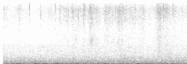 Grass Wren (Paramo) - ML356922921