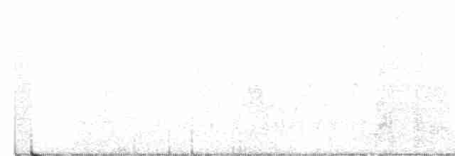 kakadu hnědohlavý - ML356951431