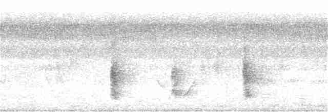 Australian Reed Warbler - ML357153871