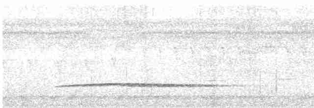 Little Tinamou - ML357159131