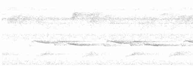 White-breasted Wood-Wren (Cherrie's) - ML35716191
