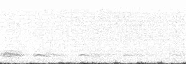 grånakkespurv - ML357232401