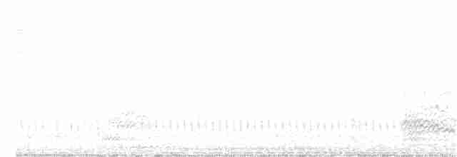 Eurasian Nightjar - ML357318251