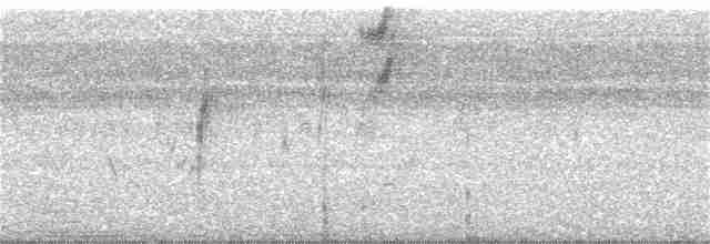 Kestane Karınlı Koca Tohumcul - ML357320481