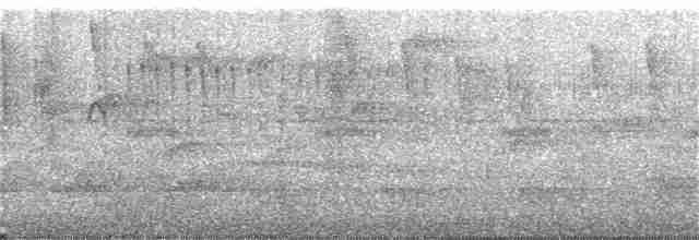 Braunkappen-Dickichtschlüpfer - ML357328911