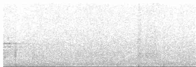 Дрізд-короткодзьоб плямистоволий - ML357339081