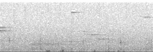 Дрізд-короткодзьоб плямистоволий - ML357339161