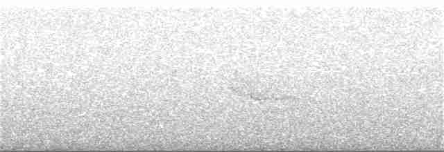 Сероголовый виреон - ML357340161
