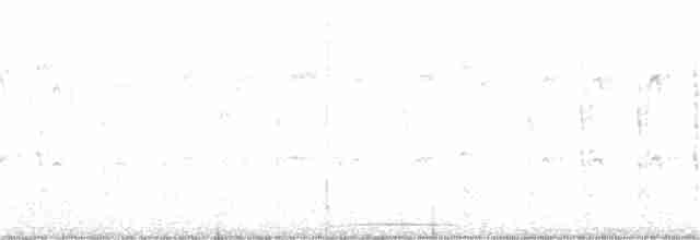 holoubek vrabčí - ML357363011