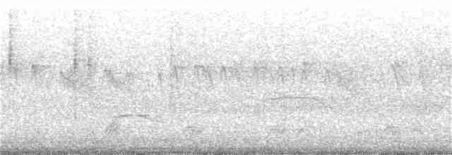 Свіфт плямистолобий - ML357375201