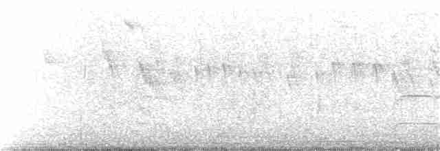 Свіфт плямистолобий - ML357375471