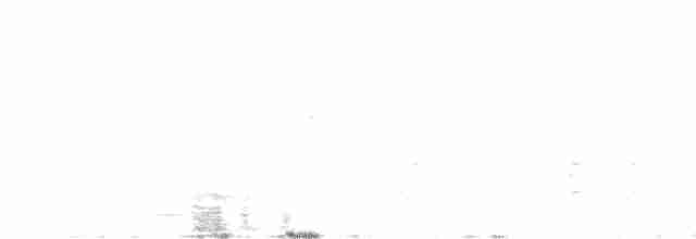 Rufous-vented Grass Babbler - ML357405251