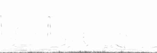 Yukatan Çıtkuşu - ML357517731