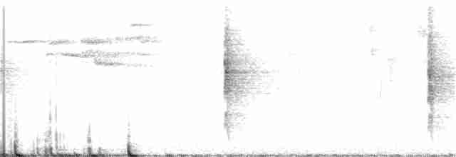 Пестрогрудый лесовик - ML357691421