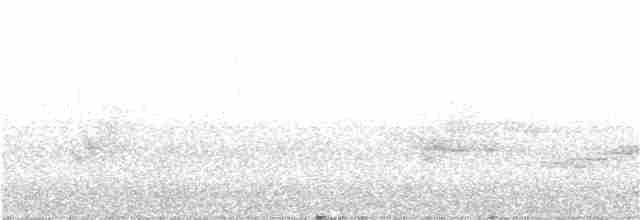 Spot-breasted Wren - ML357724511