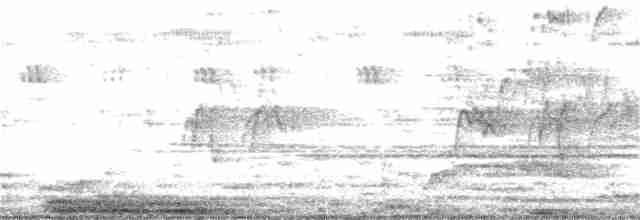 Cava Islıkçı Ördeği - ML357735091