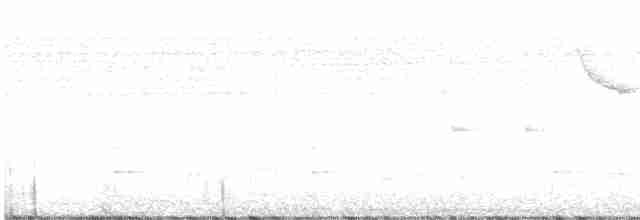 Şerit Karınlı Çıtkuşu - ML357735851