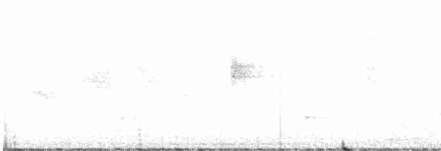 holub bledočelý - ML357735901