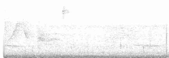 Yellow Warbler - ML357773101