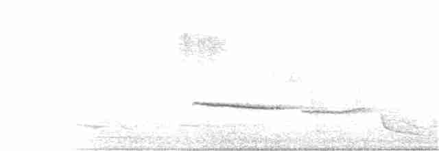 Russet-tailed Thrush - ML357937461
