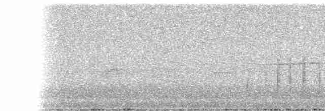Kestane Taçlı Kotinga - ML35801