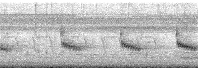 Каролинский крапивник - ML358061501