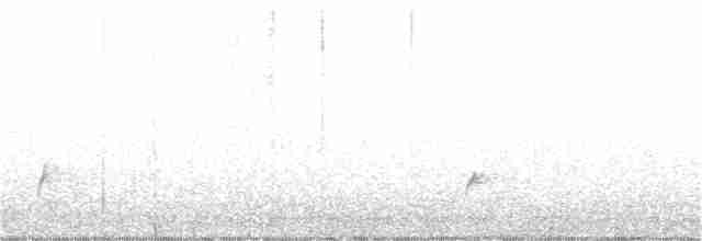 Дрізд-короткодзьоб Cвенсона - ML358062601