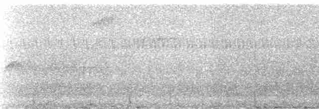 Kestane Taçlı Kotinga - ML35807