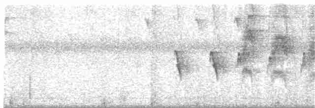 Çizgili Başlı Karıncaavcısı - ML358219901