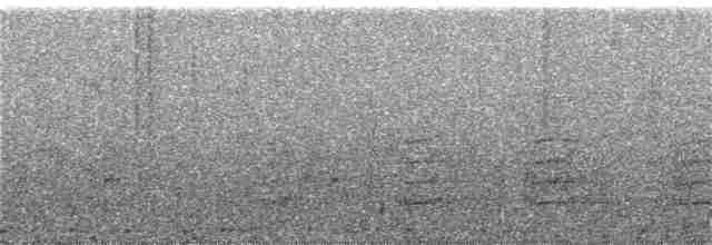 Андигена строкатодзьоба - ML358264971
