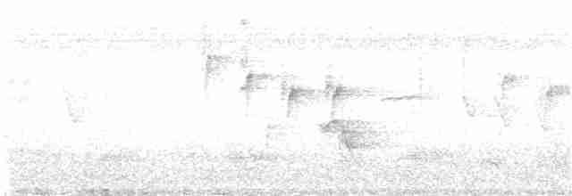 Малабарская нектарница - ML358271731
