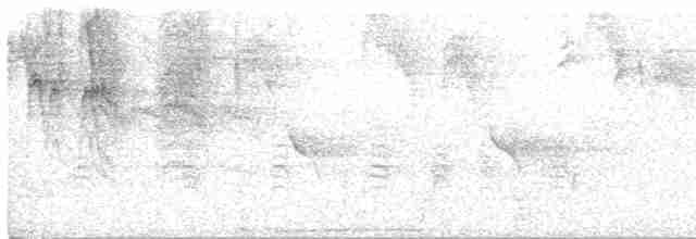 Evening Grosbeak (type 1) - ML358404701