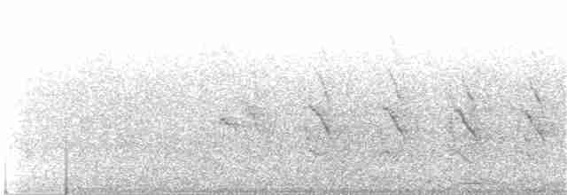 Попугай Крамера - ML358406631