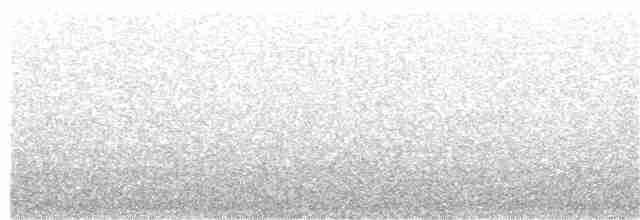 Стеллерова сойка [группа stelleri] - ML358410291