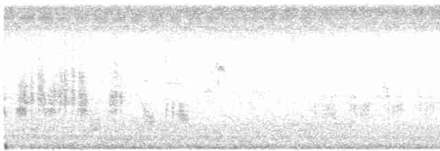 Clamorous Reed Warbler - ML358444391