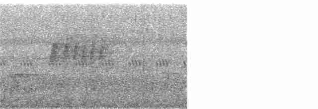 Gri Başlı Kanarya Sinekkapanı - ML358472601