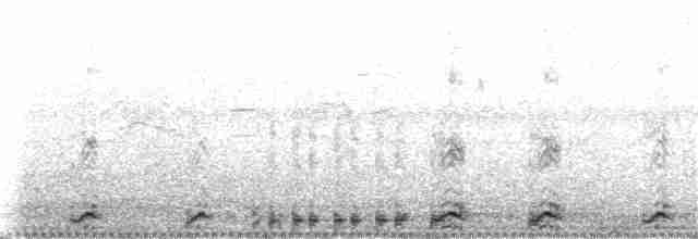 白腹秧雞 - ML358480841