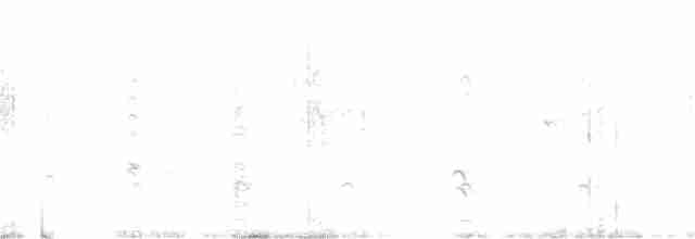 kachnička šedoboká - ML358508821