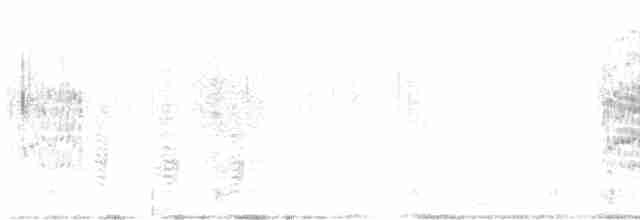 White-faced Ibis - ML358509121